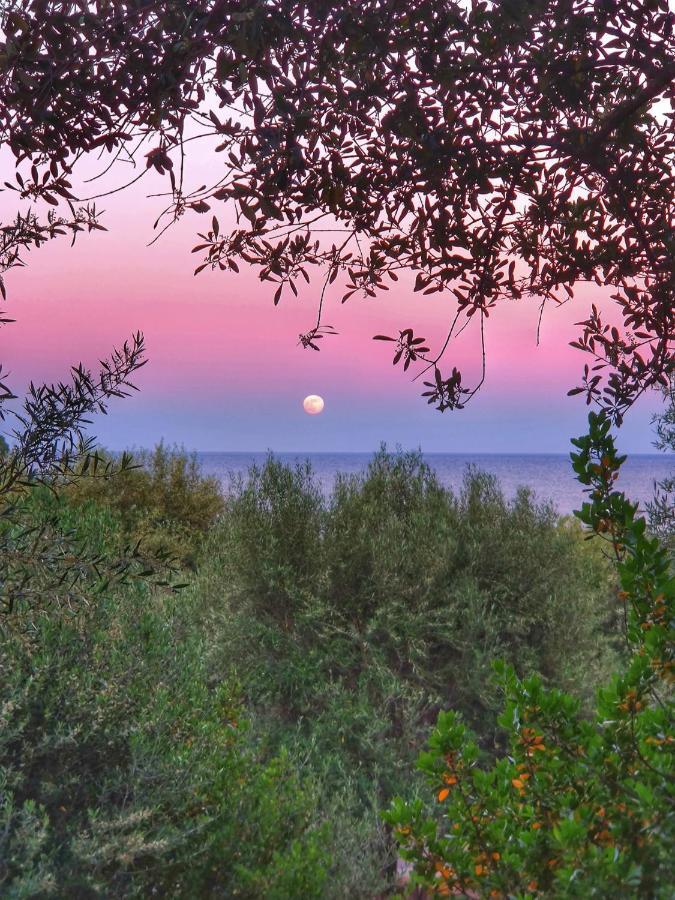 Vila Porto Frailis Arbatax Casa Vista Mare Exteriér fotografie